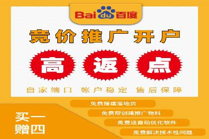 百度竞价代理的客户案例：如何实现ROI最大化